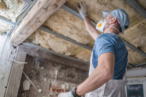 Professional Insulation Contractor in Lindstrom, MN