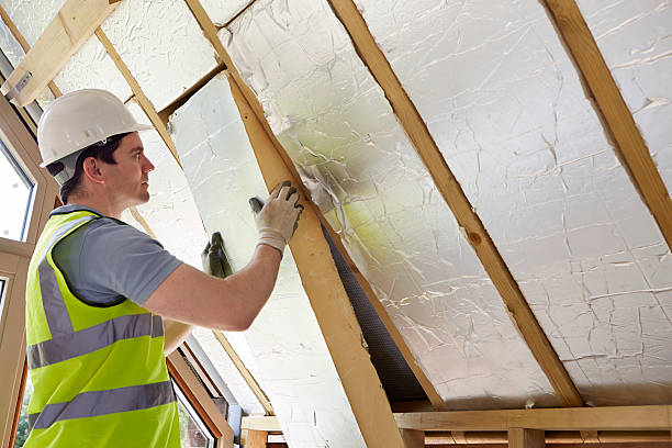 Best Cellulose Insulation in Lindstrom, MN